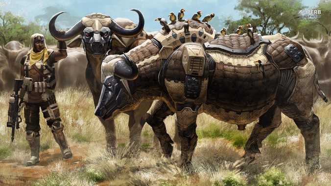 女生真正的完美身材是什么样子?